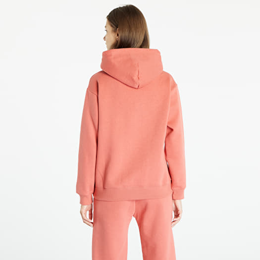 Sweatshirt Champion Hooded Sweatshirt