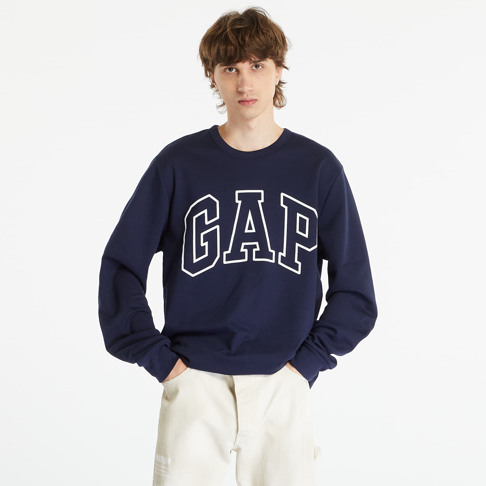 Hoodies and sweatshirts GAP LW DB Logo Fleece Tapestry Navy Queens