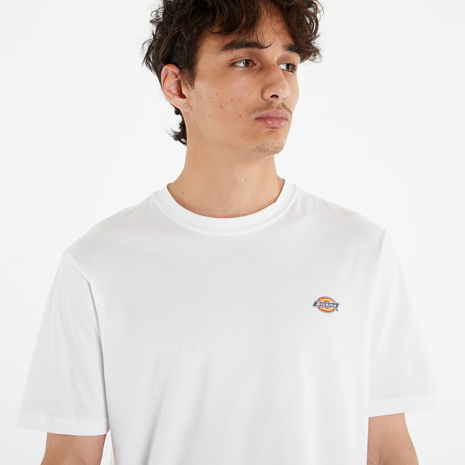 T-särgid Dickies Mapleton Short Sleeve Tee White