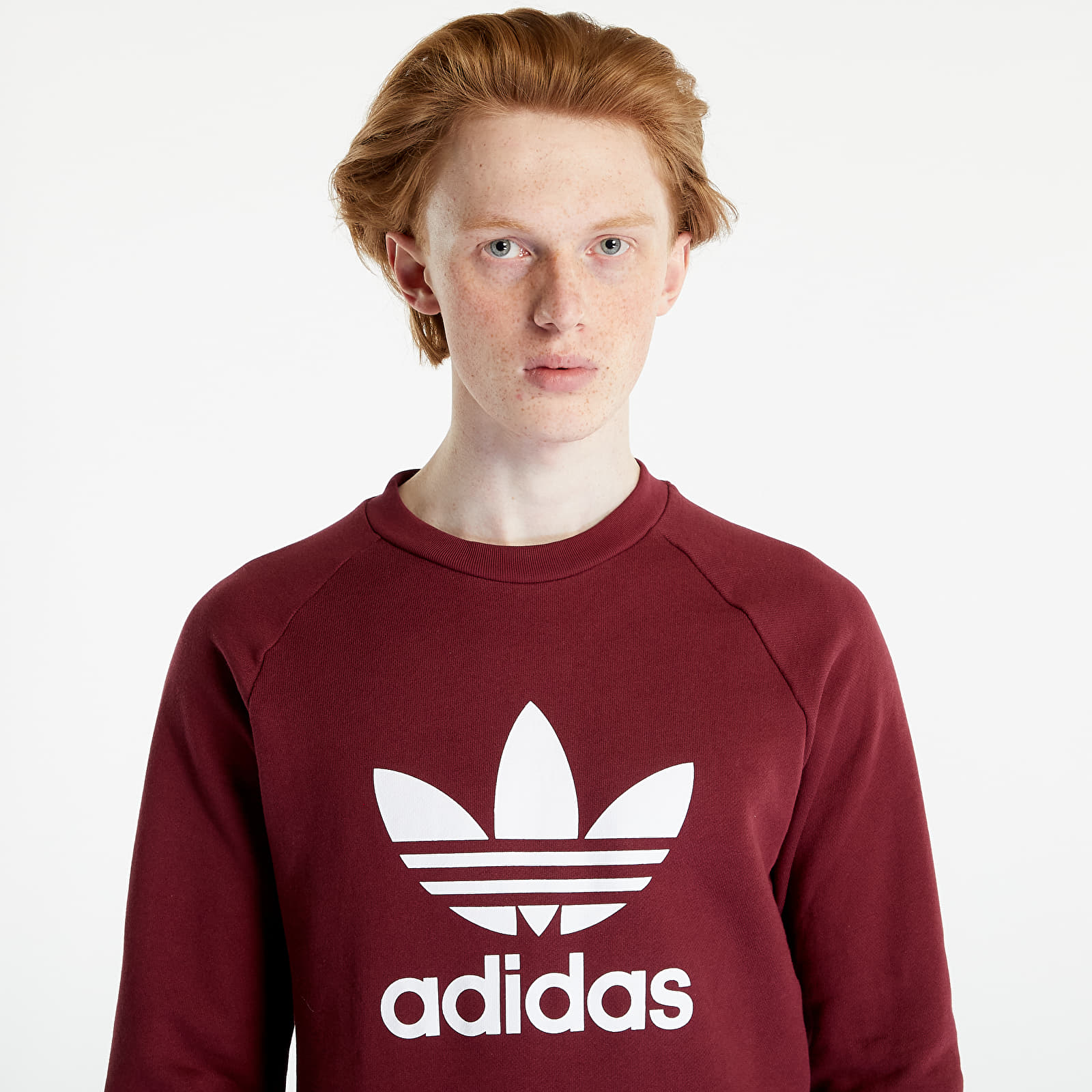 Sweatshirts adidas Originals Adicolor Classics Trefoil Crew Burgundy Queens
