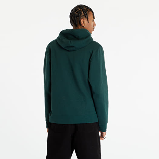 Hoodies and sweatshirts Patagonia P 6 Logo Uprisal Hoody Pinyon