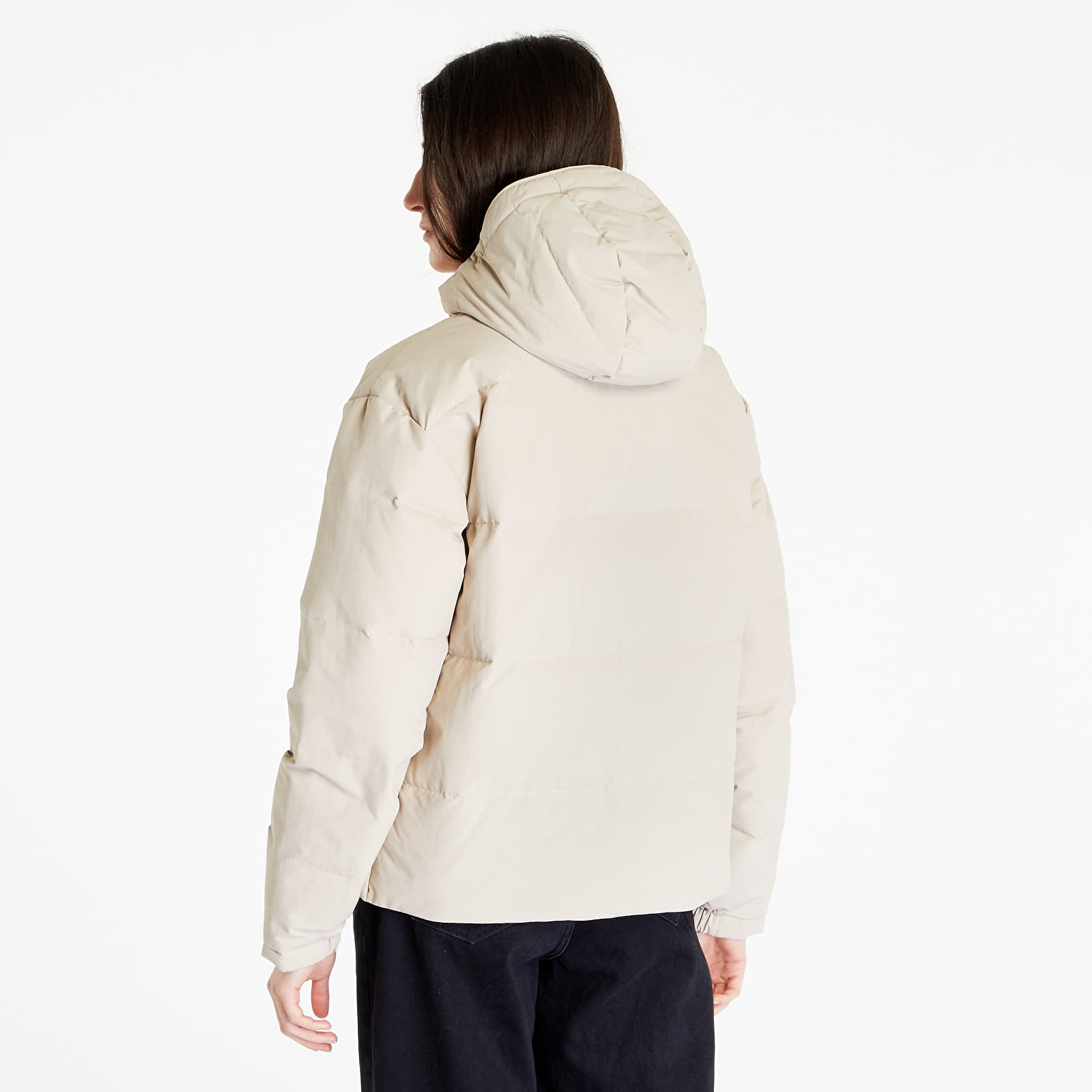 Chaquetas Patagonia W's Downdrift Jacket Beige