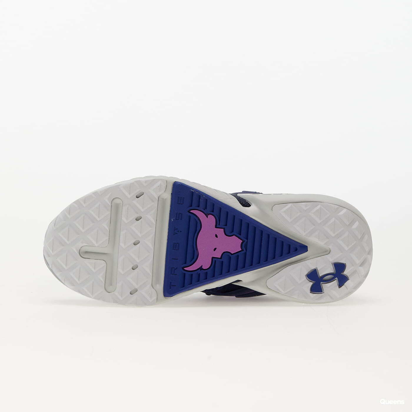 Turnschuhe und Schuhe für Männer Under Armour Project Rock 5 Disrupt Bauhaus Blue/ Midnight Navy/ Halo Gray