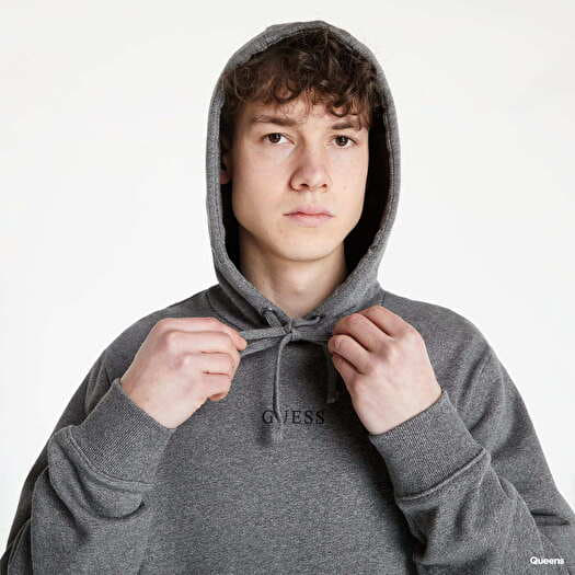 Hoodies and sweatshirts GUESS Logo Hooded Brand Grey Queens