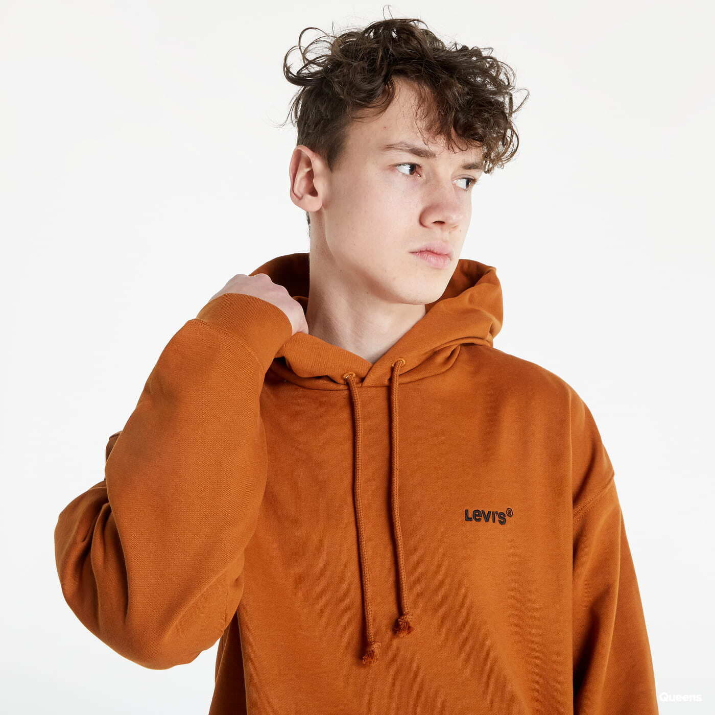 Hoodies and sweatshirts Levi's ® Red Tab Sweats Hoodie Brown