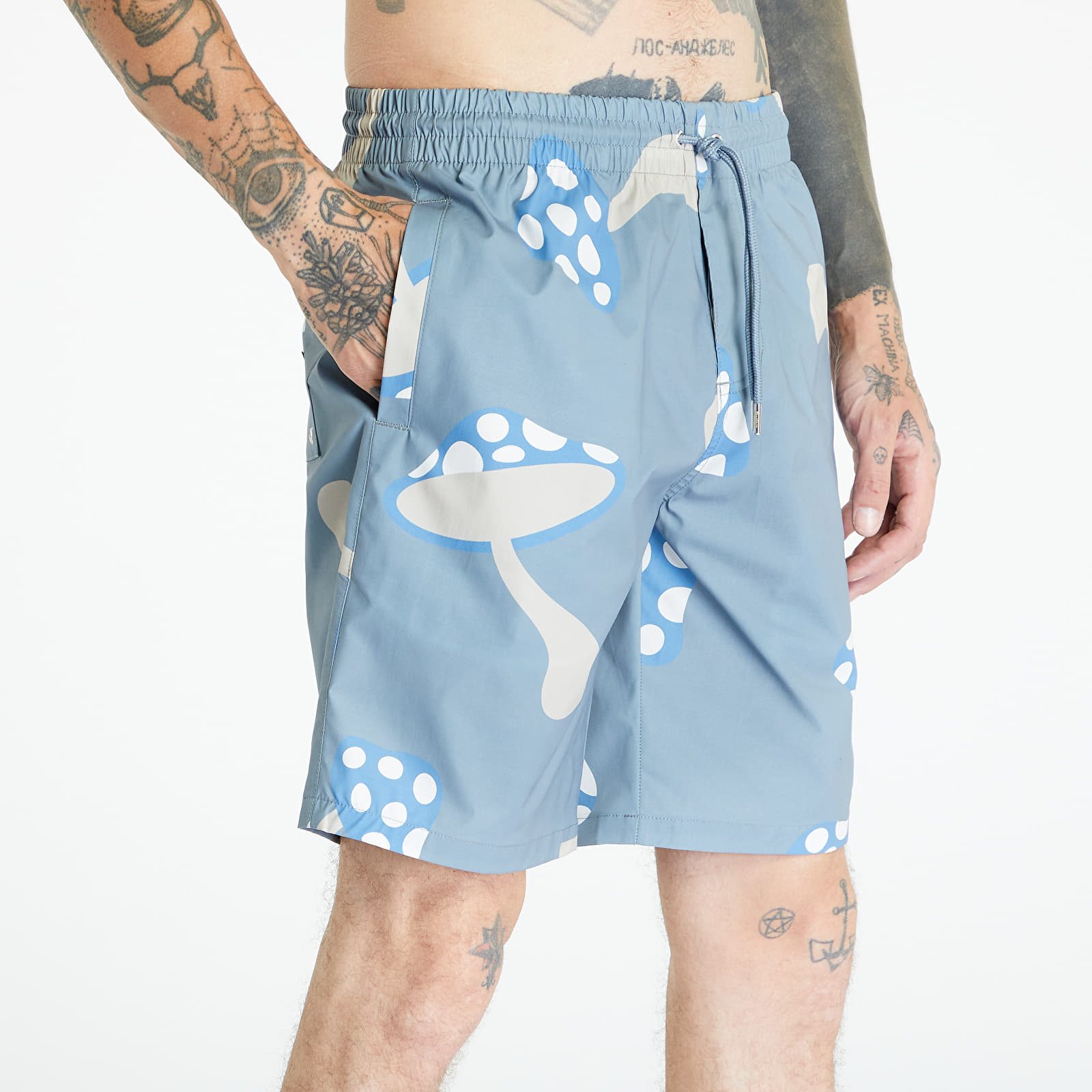 Шорты RIPNDIP Euphoria Swim Shorts Light Slate