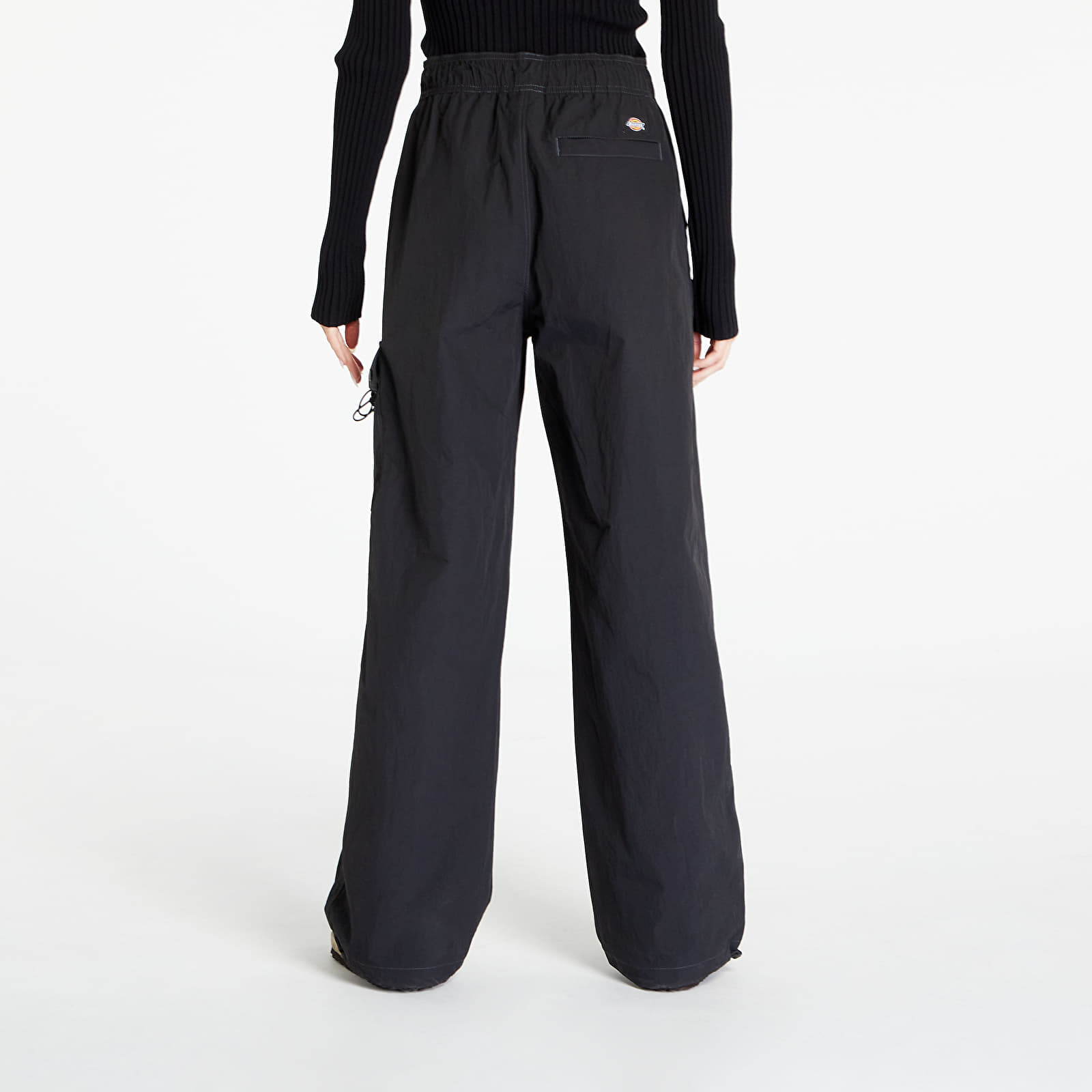 Pants Dickies Jackson Cargo Trousers Black