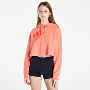 Orange nike cropped hoodie deals