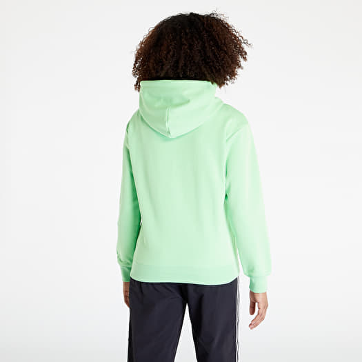 Sweatshirt Champion Hooded Sweatshirt