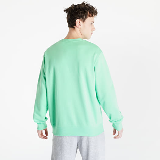Champion mint crew neck sweatshirt online
