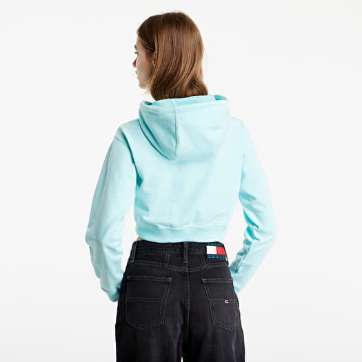 Champion rochester shop hooded sweatshirt