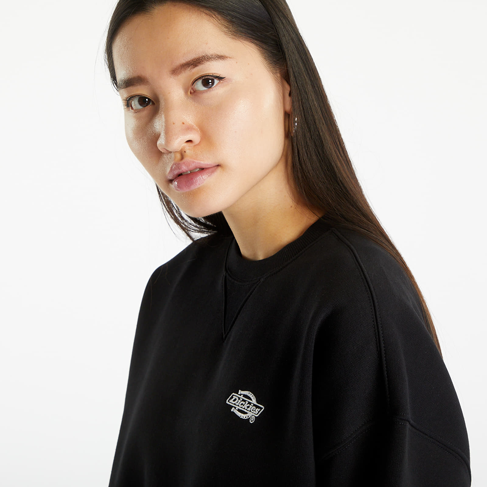 Sweatshirts Dickies Summerdale Sweatshirt Black