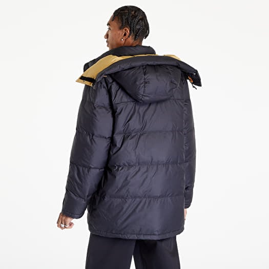 Tan north face jacket 2025