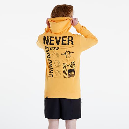 The north face orange hoodie outlet