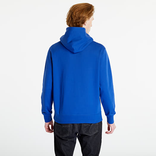 Sweatshirts Champion Hooded Sweatshirt Blue Queens