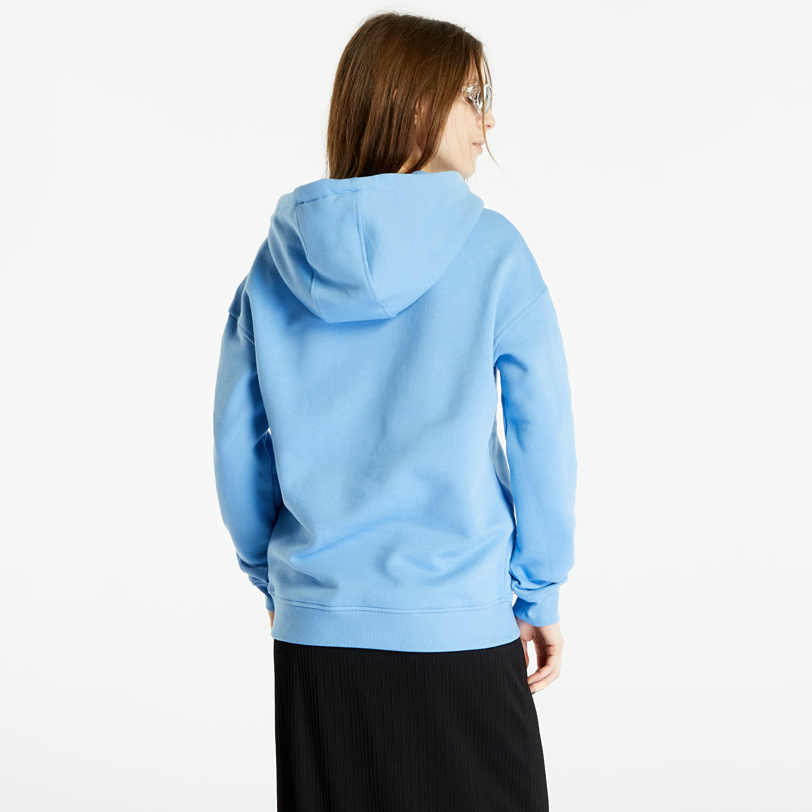 Blue horizon champion hoodie on sale