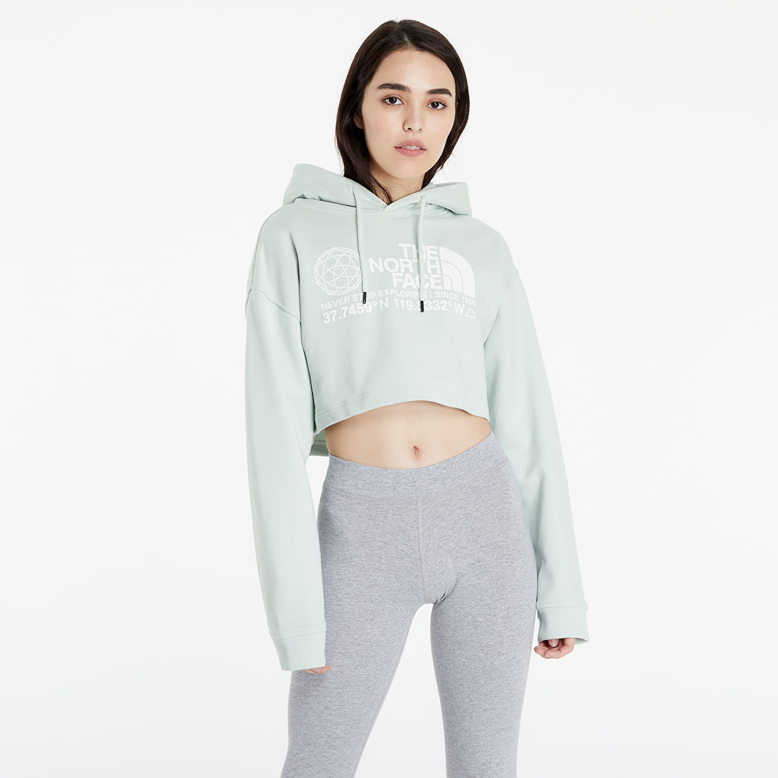 Mikinas ar kapuci un sporta krekli The North Face Coordinates Hoodie Green Mist
