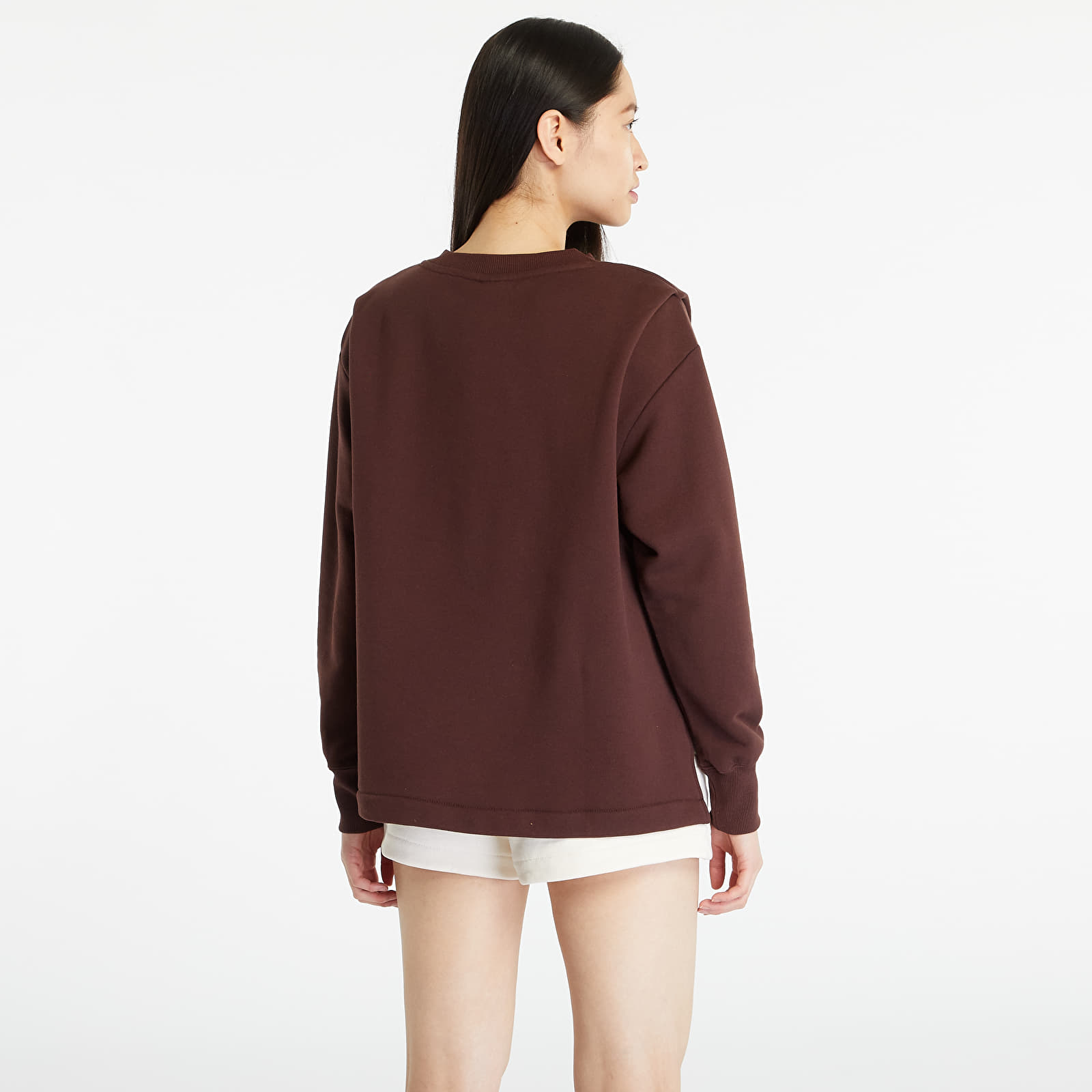 Mikiny Nike Sportswear Modern Fleece Women's Oversized French Terry Crewneck Sweatshirt Earth/ Plum Eclipse