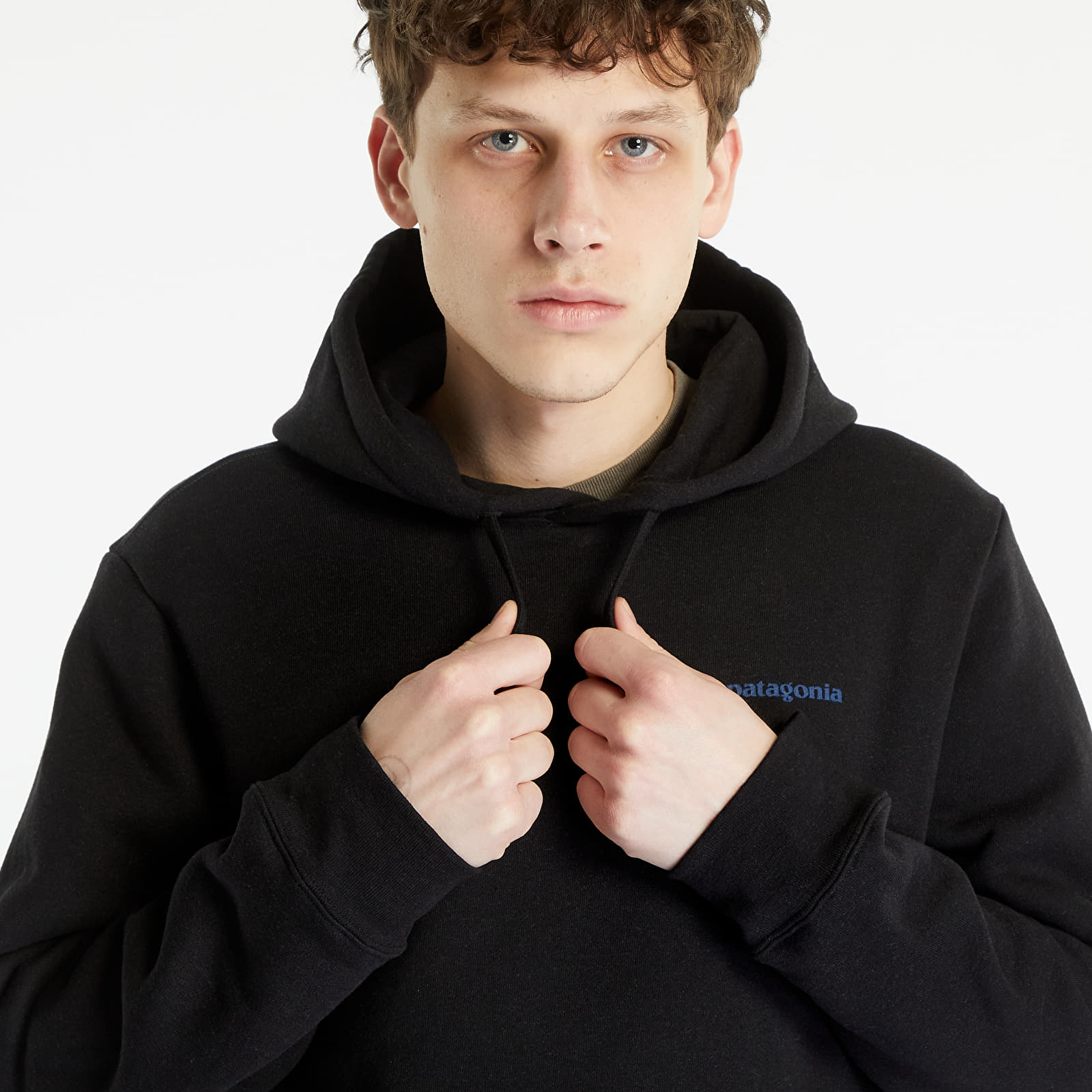 Sweatshirts Patagonia Boardshort Logo Uprisal Hoody Black