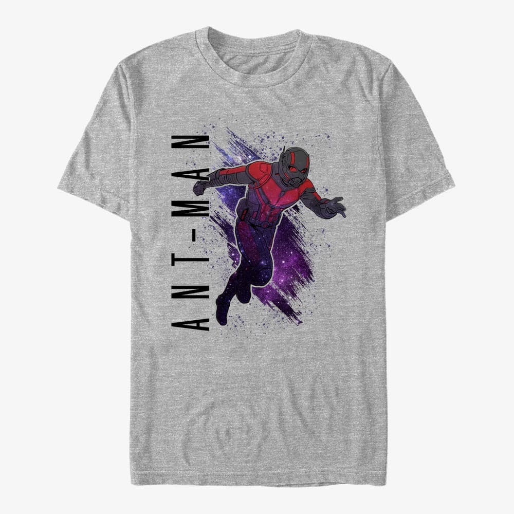 majice kratkih rukava Merch Marvel Avengers: Endgame - Ant-Man Painted Unisex T-Shirt Heather Grey