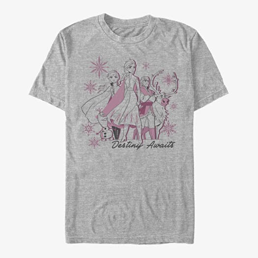 T-shirt Merch Disney Frozen 2 - Destiny Awaits Unisex T-Shirt Heather Grey