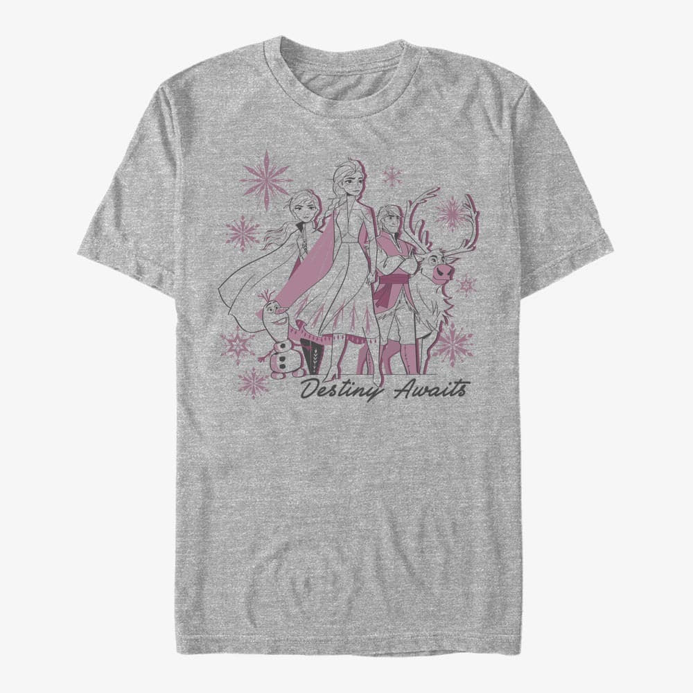 Trička Merch Disney Frozen 2 - Destiny Awaits Unisex T-Shirt Heather Grey