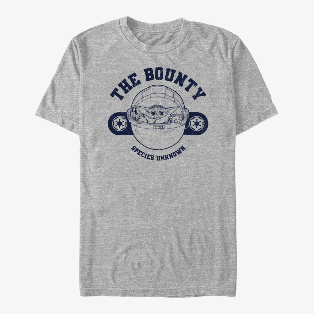   Μπλούζες Merch Star Wars: The Mandalorian - THE BOUNTY COLLEGIATE Unisex T-Shirt Heather Grey
