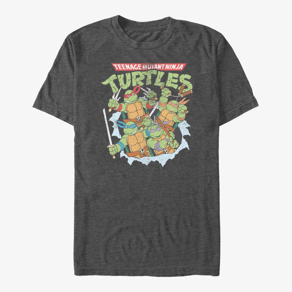 Camisetas Merch Nickelodeon Teenage Mutant Ninja Turtles - Classic Turtle Group Unisex T-Shirt Dark Heather Grey