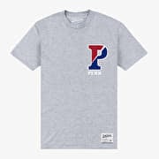 Merch Park Agencies - University Of Pennsylvania P Unisex T-Shirt Sport Grey