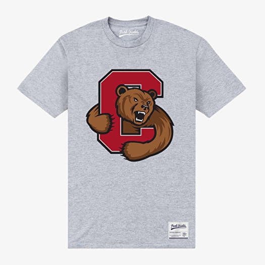 Merch Park Agencies - Cornell University Bear Unisex T-Shirt Sport Grey