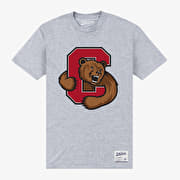Merch Park Agencies - Cornell University Bear Unisex T-Shirt Sport Grey