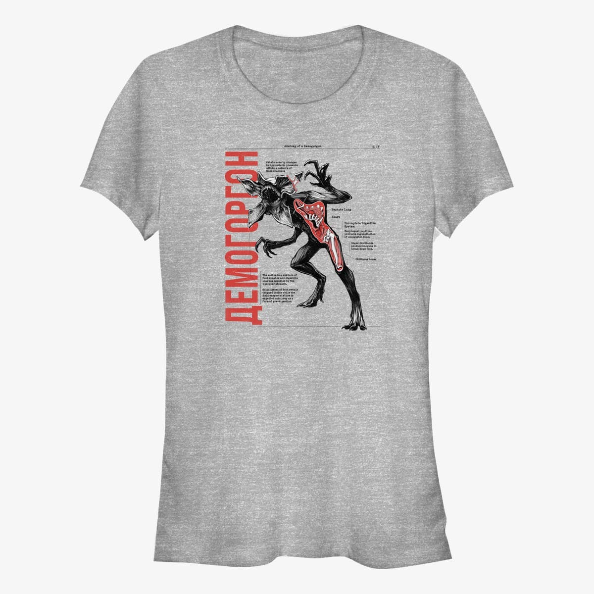 Tričká Merch Netflix Stranger Things - Anatomy of Demogorgon Women's T-Shirt Heather Grey