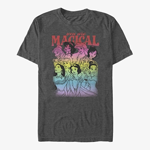 Majica Merch Disney Princess Group - You Are Magical Unisex T-Shirt Dark Heather Grey