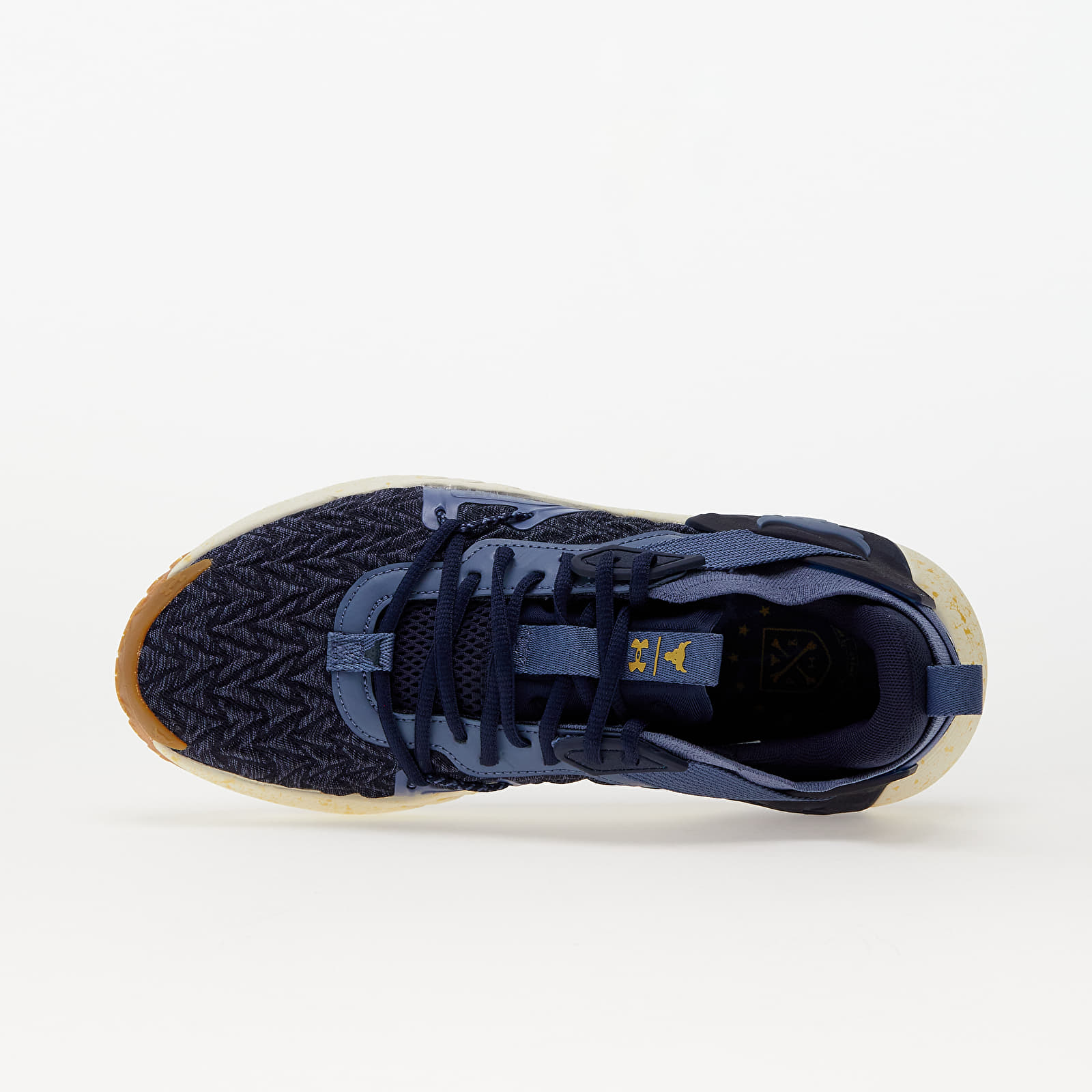 Scarpe e scarpe da ginnastica da uomo Under Armour Project Rock 6 Blue Queens