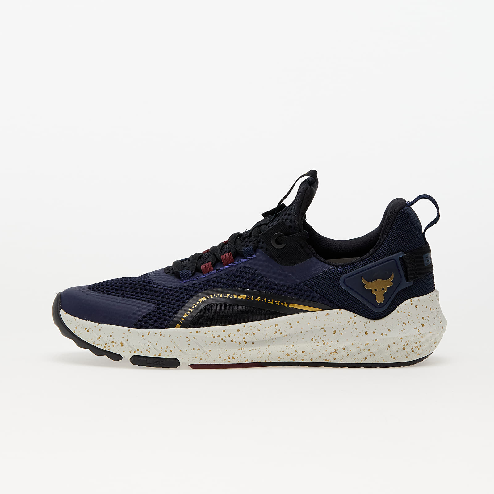 Pánské tenisky a boty Under Armour Project Rock BSR 3 Blue