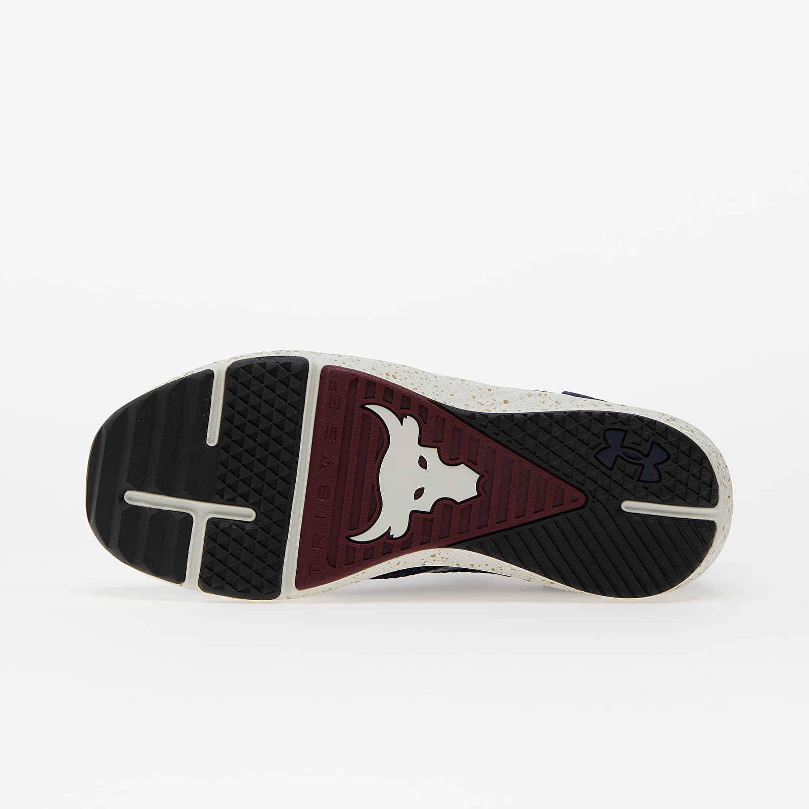 Pánské tenisky a boty Under Armour Project Rock BSR 3 Blue