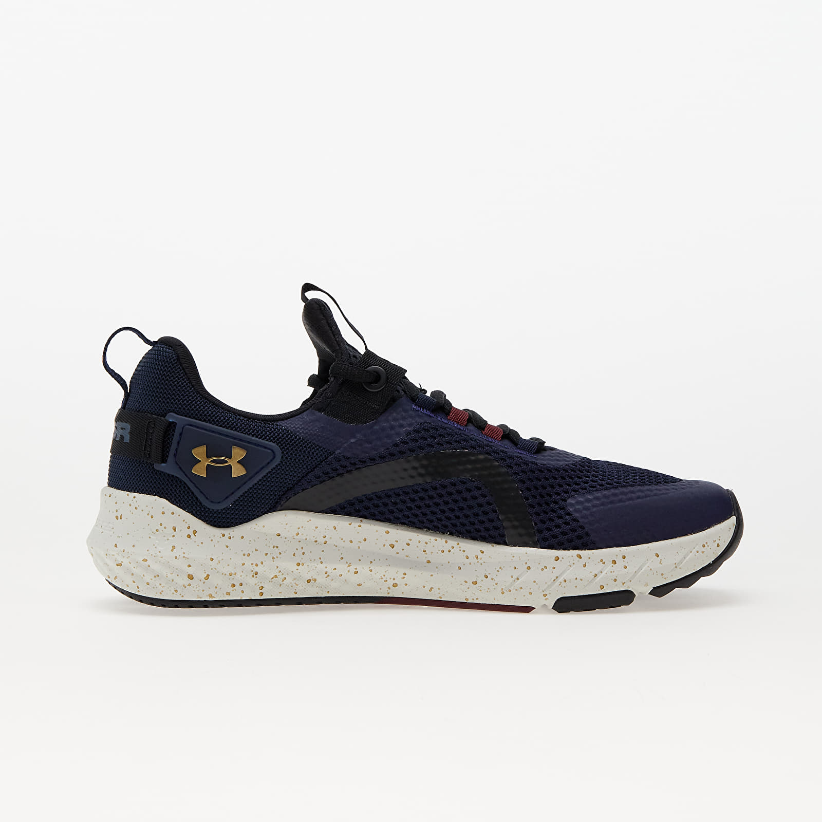 Pánské tenisky a boty Under Armour Project Rock BSR 3 Blue