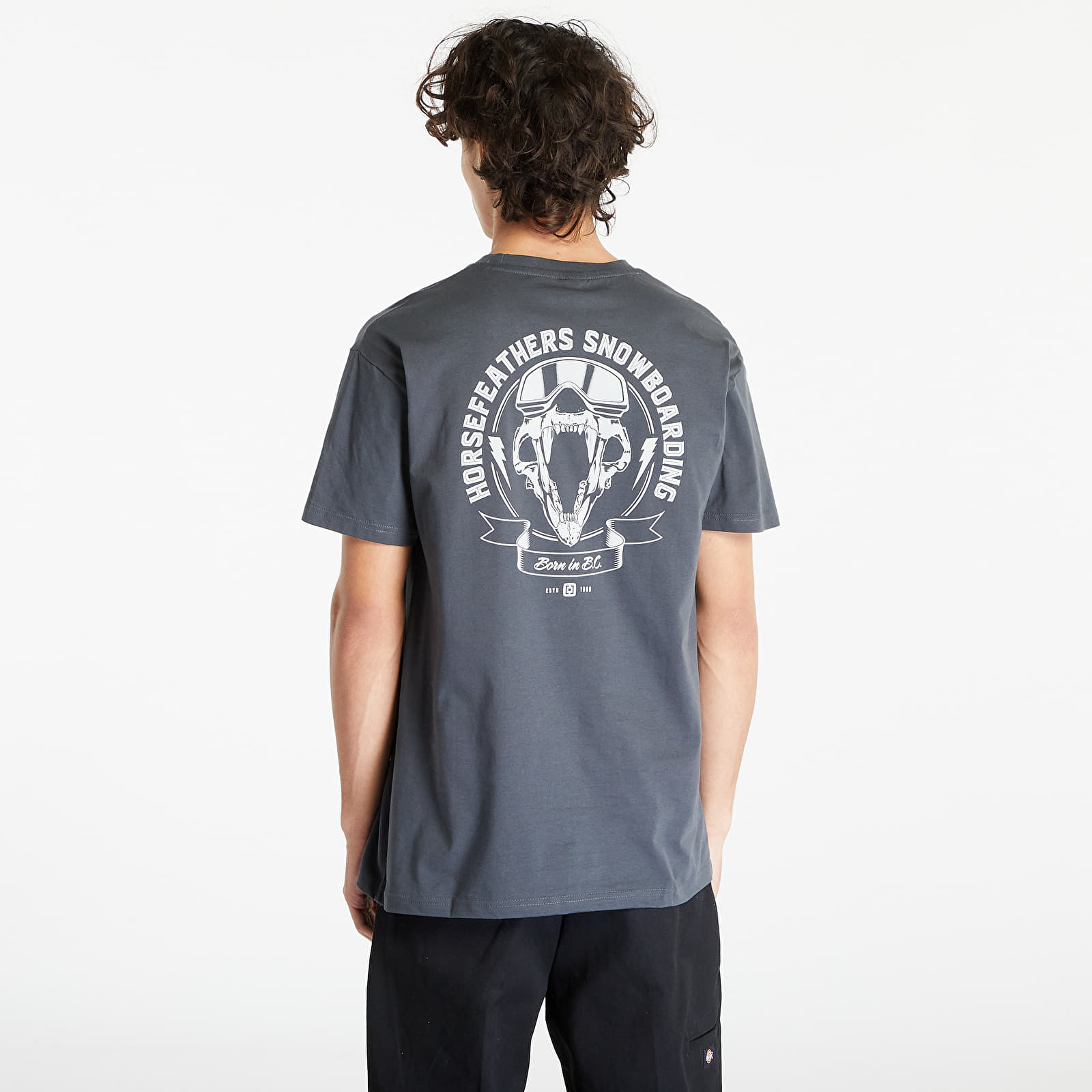 T-skjorter Horsefeathers Bear Skull T-Shirt Gray