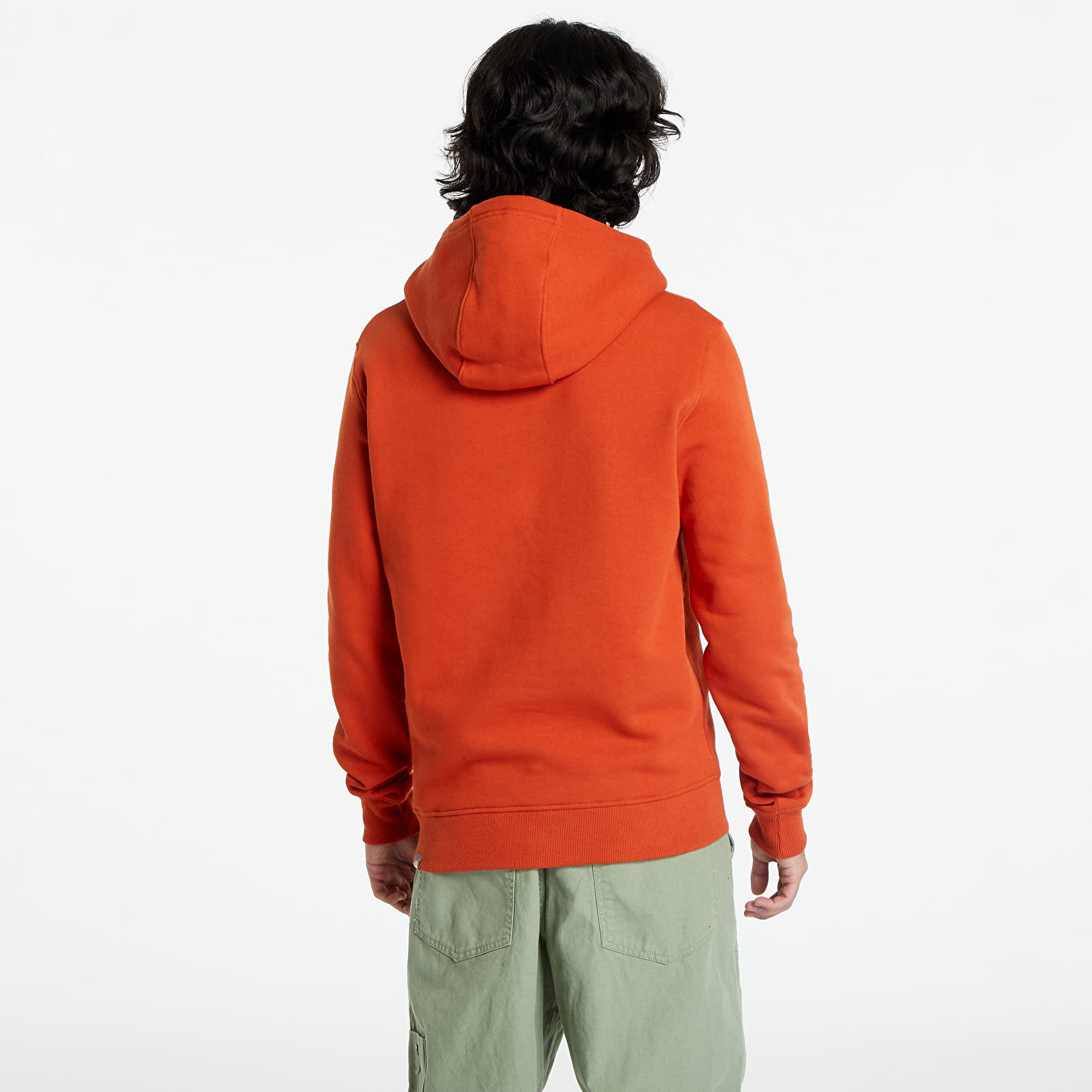 Hoodies och sweatshirts The North Face Peak Pullover Hoodie Rusted Bronze