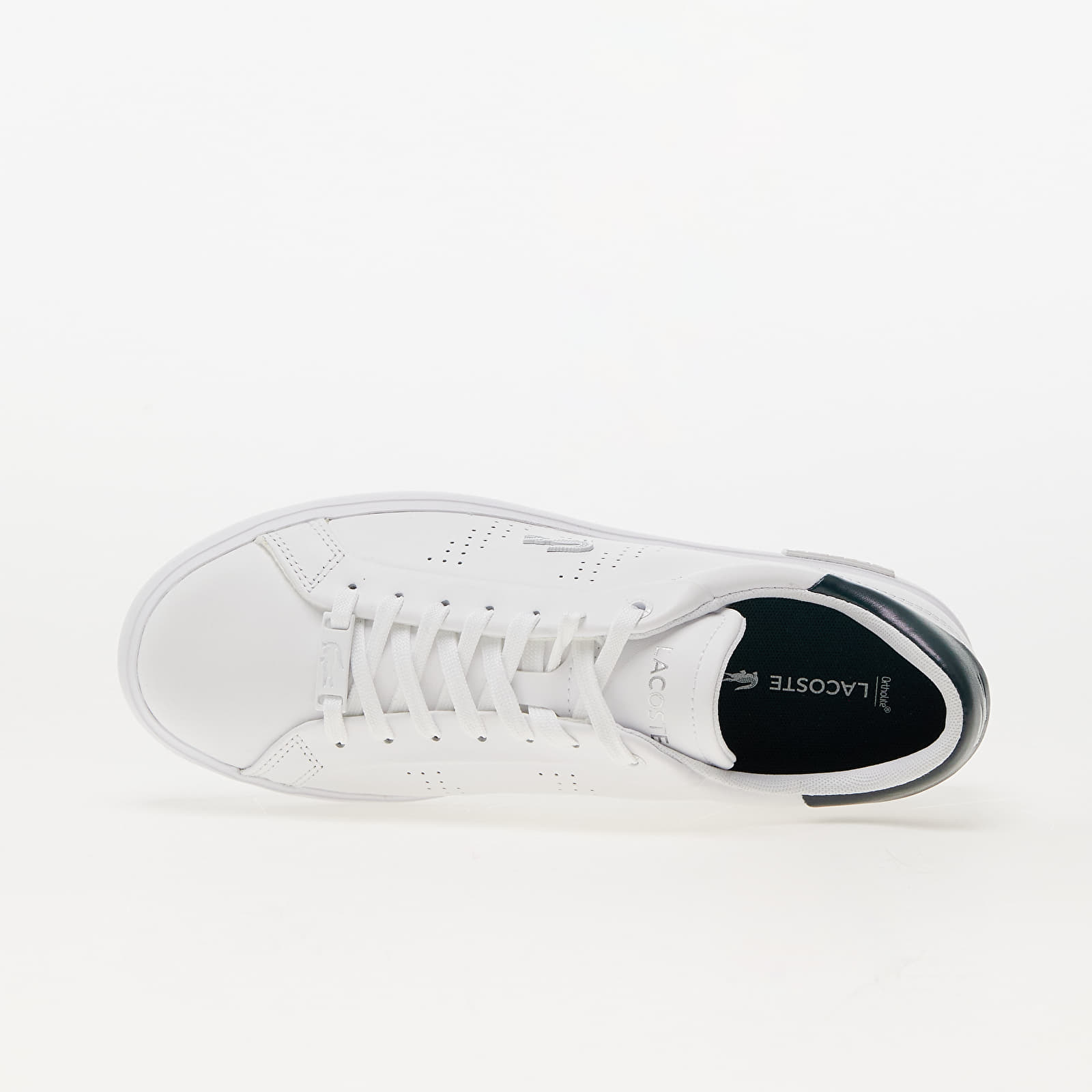 Lacoste best sale ortholite white