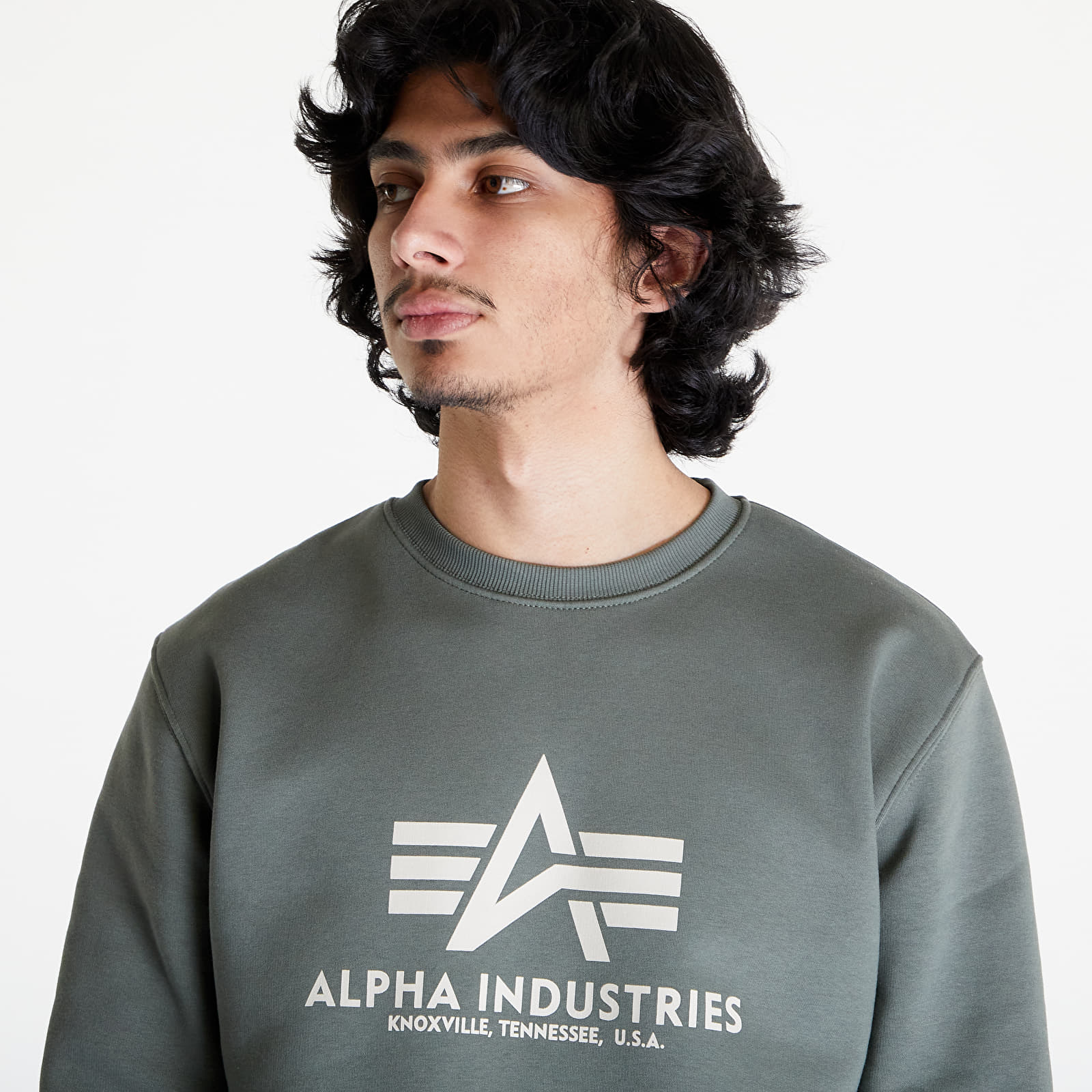 Hoodies and sweatshirts Alpha Industries Basic Sweater Vintage Green Queens