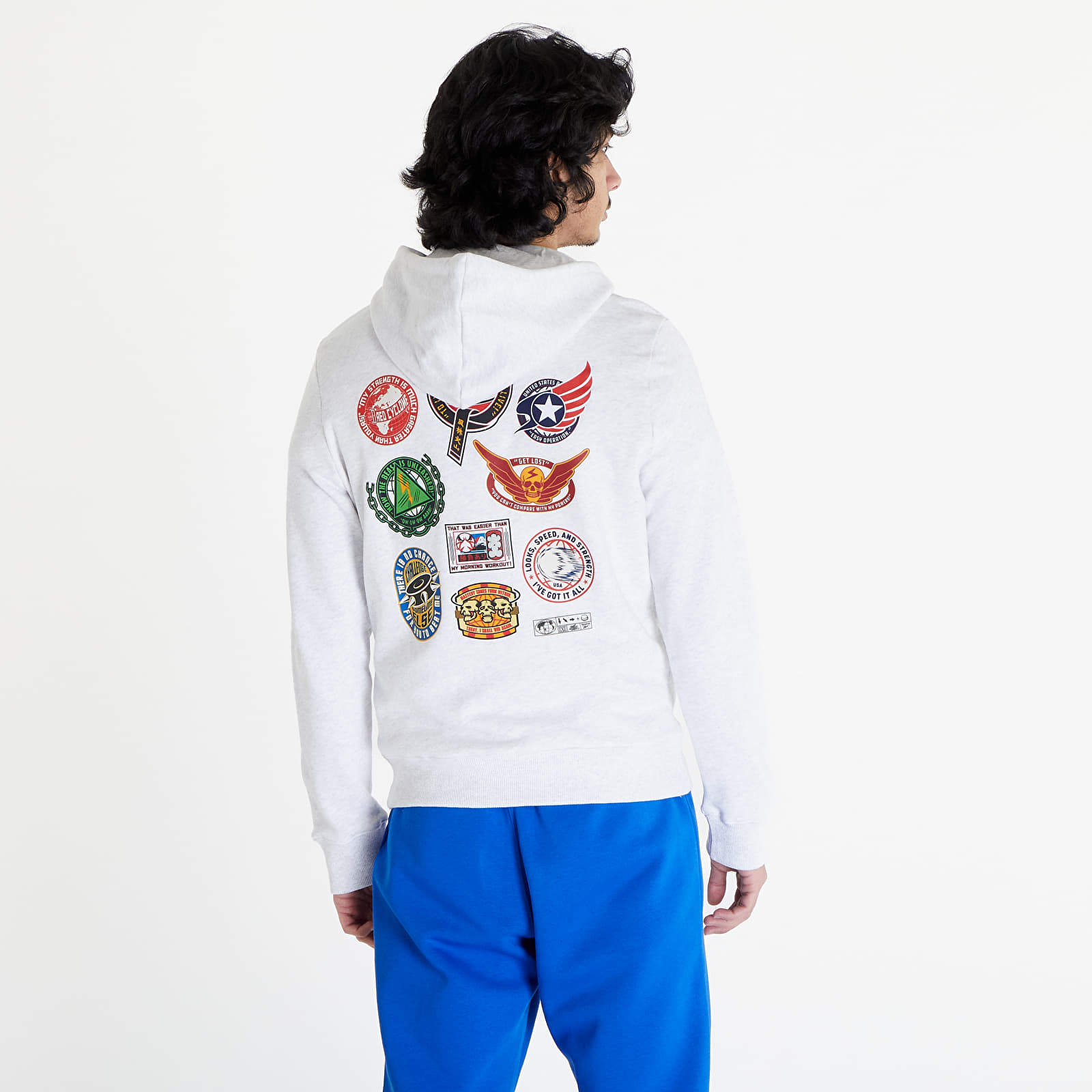 Sweatshirts and Sweaters Reebok Sf Graphic Hoodie UNISEX White Melange
