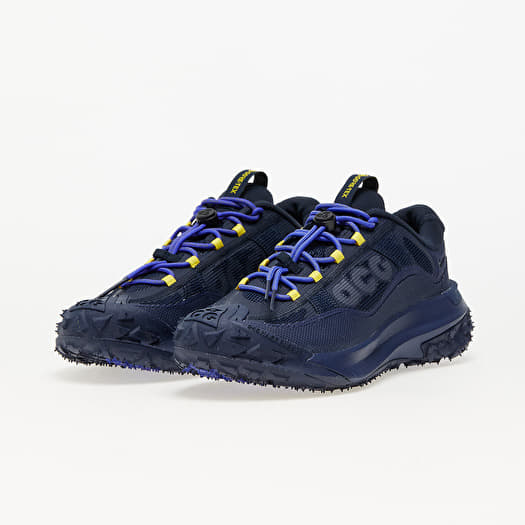 Nike ACG Mountain Fly 2 Low GTX