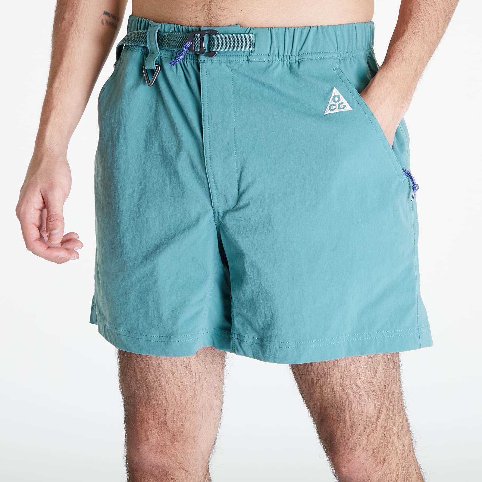 Shorts Nike ACG Men's Hiking Shorts Bicoastal/ Vintage Green/ Summit White