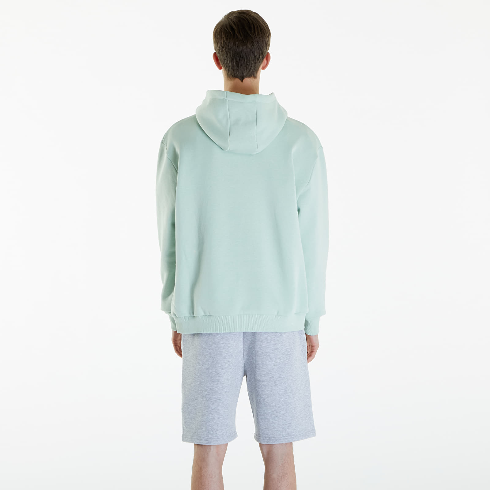 Hoodies and sweatshirts  Karl Kani Small Signature Essential Hoodie Light Mint