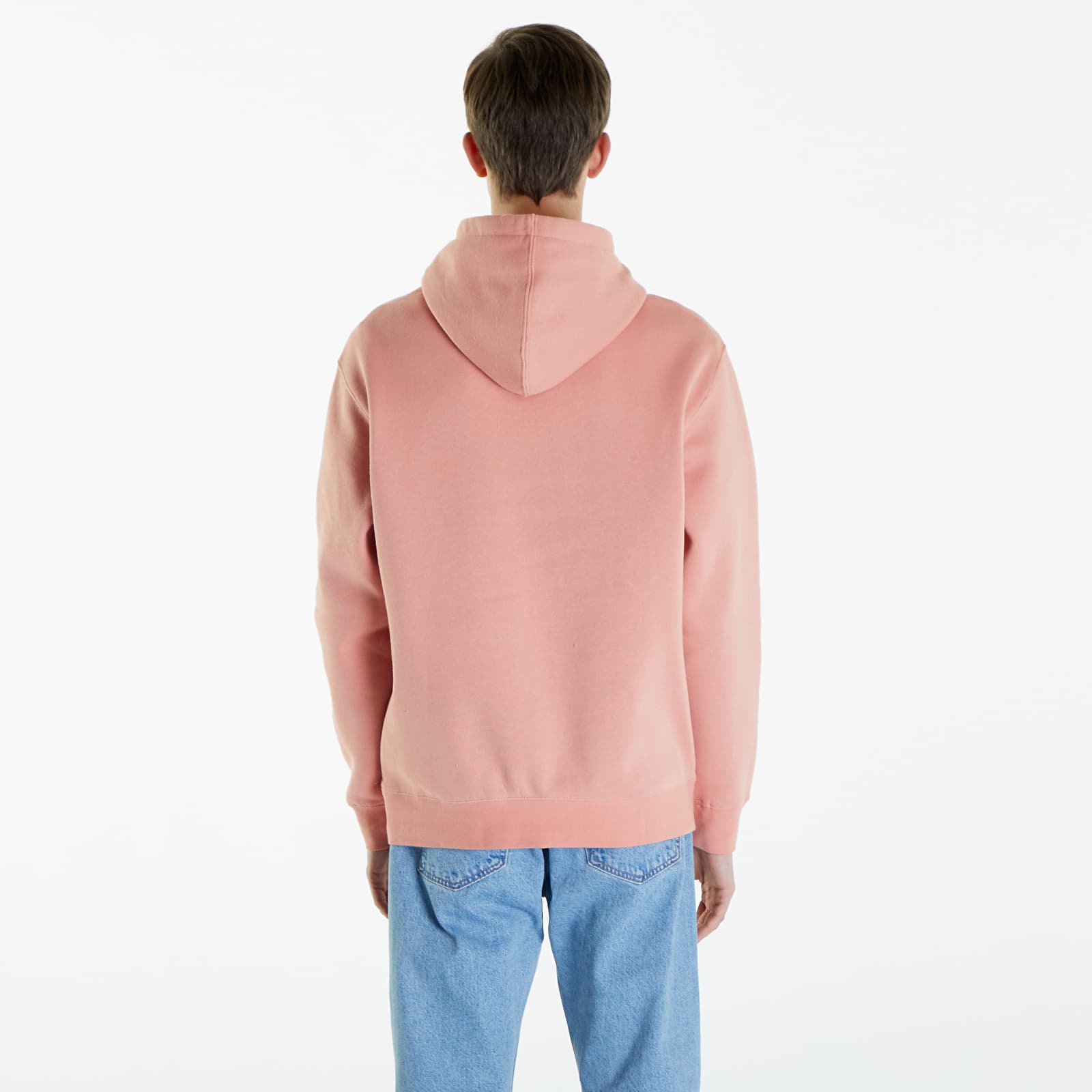 Sweaters Quiksilver Big Logo Hoodie Canyon Clay