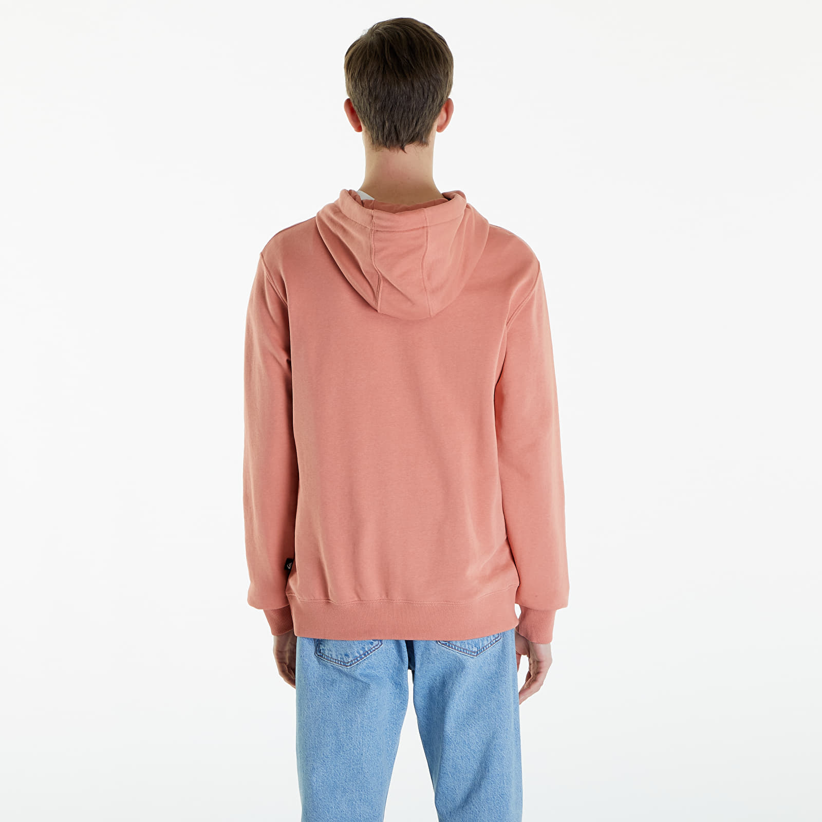 Kapuutsikud ja kampsunid Quiksilver Tradesmith Hoodie Canyon Clay