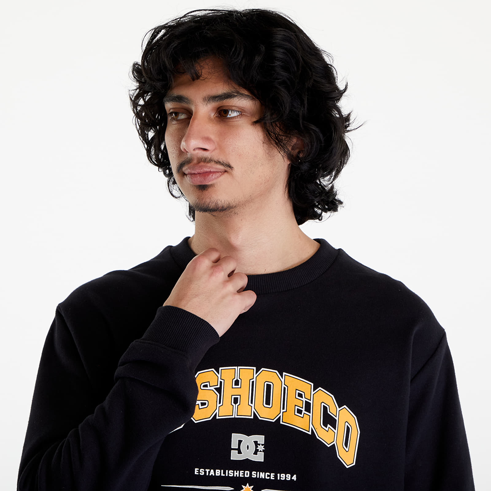 Hoodies and sweatshirts  DC Orientation Crew Black