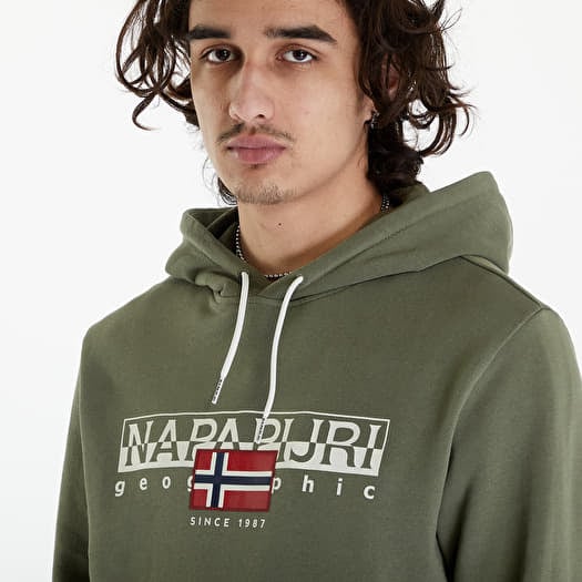 Sweatshirts Napapijri B Aylmer Hoodie Green Lichen Queens