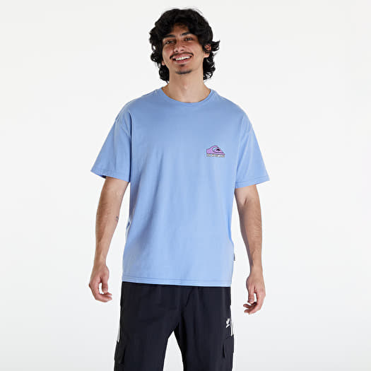 Magliette Quiksilver Take Us Back Logo SS T shirt Hydrangea Queens